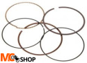 VERTEX 53010006400N8 PIERŚCIENIE ( średnica 64mm ) VERTEX 53010006400N8 PIERŚCIENIE ( średnica 64mm )